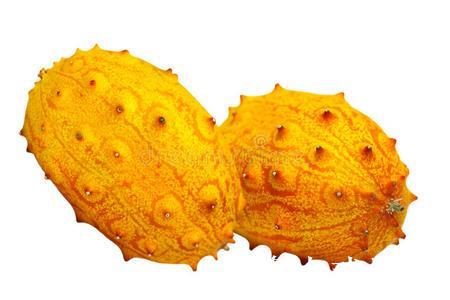 如何安全访问黑瓜吃料网入口攻略 如何安全访问黑瓜吃料网入口攻略